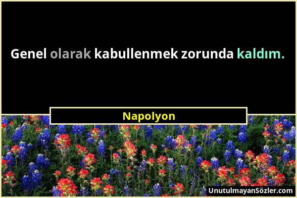 Napolyon - Genel olarak kabullenmek zorunda kaldım....