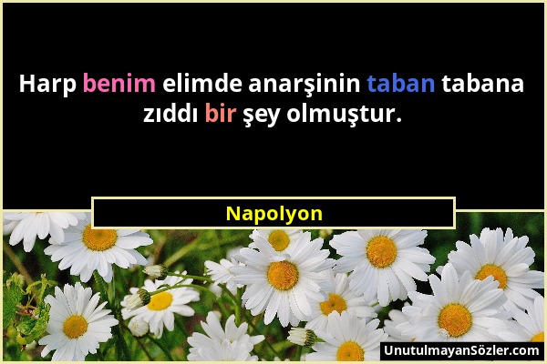 Napolyon - Harp benim elimde anarşinin taban tabana zıddı bir şey olmuştur....