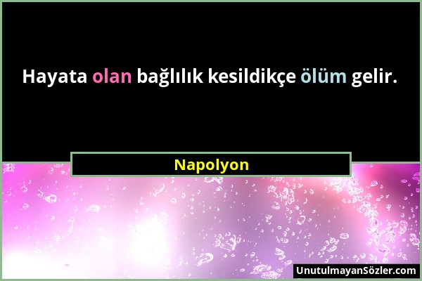 Napolyon - Hayata olan bağlılık kesildikçe ölüm gelir....