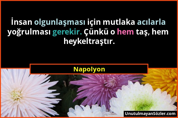 Napolyon - İnsan olgunlaşması için mutlaka acılarla yoğrulması gerekir. Çünkü o hem taş, hem heykeltraştır....