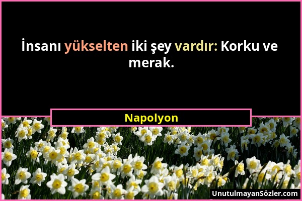 Napolyon - İnsanı yükselten iki şey vardır: Korku ve merak....