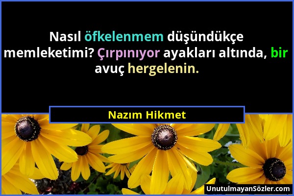 Nazım Hikmet - Nasıl öfkelenmem düşündükçe memleketimi? Çırpınıyor ayakları altında, bir avuç hergelenin....