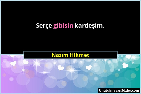 Nazım Hikmet - Serçe gibisin kardeşim....