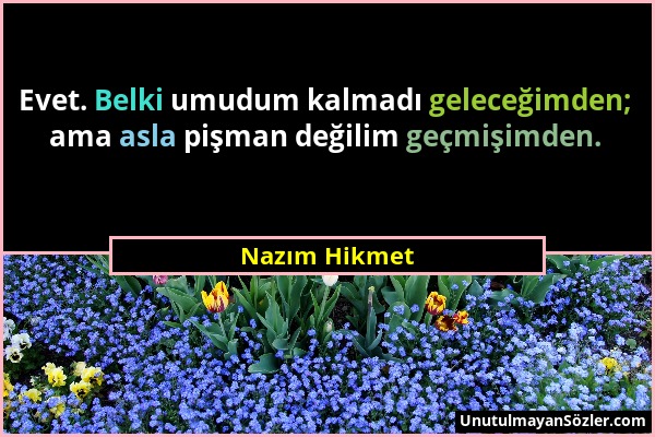 Nazım Hikmet - Evet. Belki umudum kalmadı geleceğimden; ama asla pişman değilim geçmişimden....