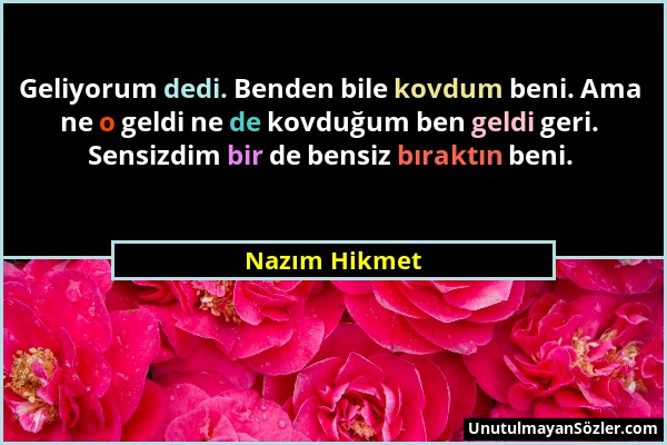 Nazım Hikmet - Geliyorum dedi. Benden bile kovdum beni. Ama ne o geldi ne de kovduğum ben geldi geri. Sensizdim bir de bensiz bıraktın beni....