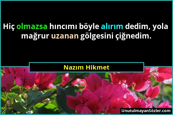 Nazım Hikmet - Hiç olmazsa hıncımı böyle alırım dedim, yola mağrur uzanan gölgesini çiğnedim....