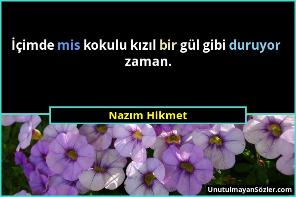 Nazım Hikmet - İçimde mis kokulu kızıl bir gül gibi duruyor zaman....