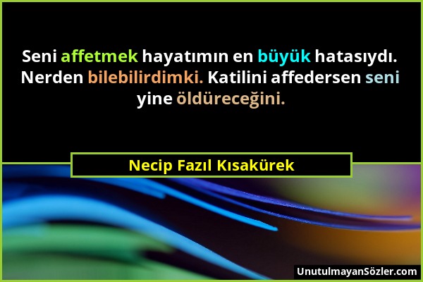 Necip Fazıl Kısakürek - Seni affetmek hayatımın en büyük hatasıydı. Nerden bilebilirdimki. Katilini affedersen seni yine öldüreceğini....