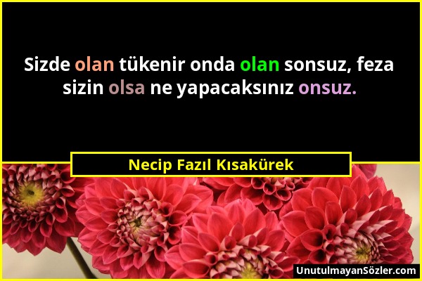 Necip Fazıl Kısakürek - Sizde olan tükenir onda olan sonsuz, feza sizin olsa ne yapacaksınız onsuz....