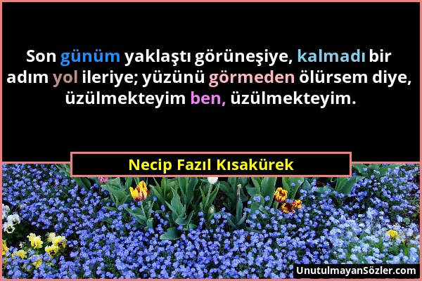 Necip Fazıl Kısakürek - Son günüm yaklaştı görüneşiye, kalmadı bir adım yol ileriye; yüzünü görmeden ölürsem diye, üzülmekteyim ben, üzülmekteyim....