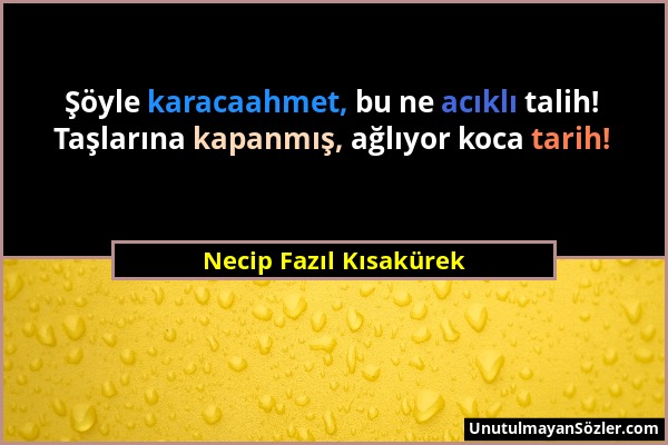 Necip Fazıl Kısakürek - Şöyle karacaahmet, bu ne acıklı talih! Taşlarına kapanmış, ağlıyor koca tarih!...