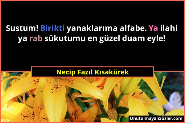 Necip Fazıl Kısakürek - Sustum! Birikti yanaklarıma alfabe. Ya ilahi ya rab sükutumu en güzel duam eyle!...