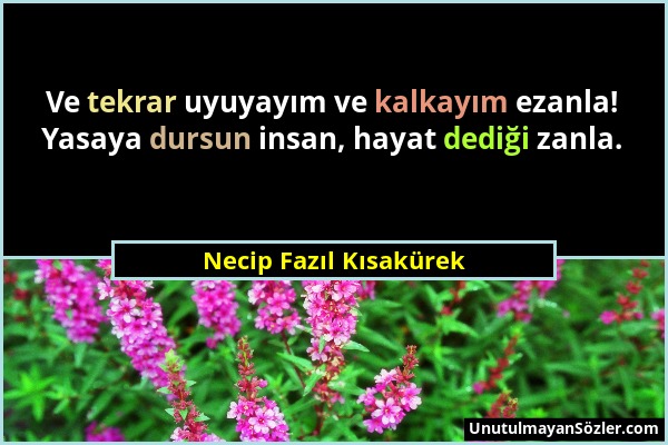 Necip Fazıl Kısakürek - Ve tekrar uyuyayım ve kalkayım ezanla! Yasaya dursun insan, hayat dediği zanla....