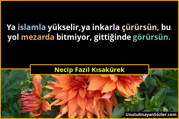 Necip Fazıl Kısakürek - Ya islamla yükselir,ya inkarla çürürsün, bu yol mezarda bitmiyor, gittiğinde görürsün....