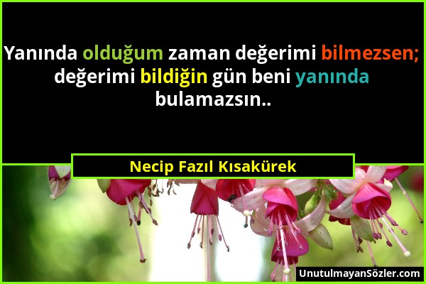 Necip Fazıl Kısakürek - Yanında olduğum zaman değerimi bilmezsen; değerimi bildiğin gün beni yanında bulamazsın.....