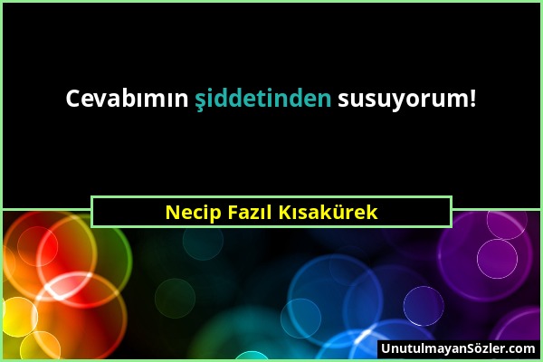 Necip Fazıl Kısakürek - Cevabımın şiddetinden susuyorum!...