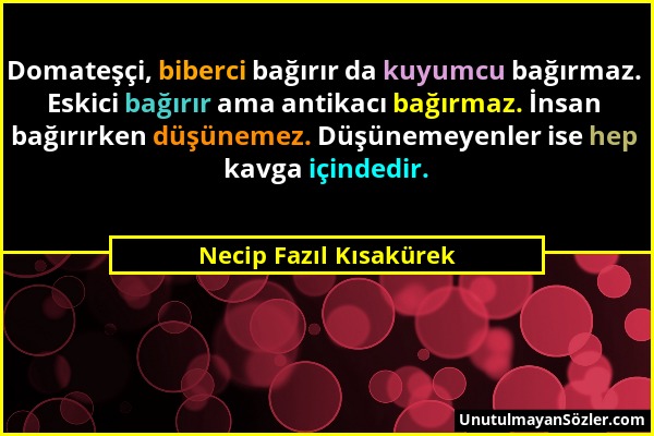 Necip Fazıl Kısakürek - Domateşçi, biberci bağırır da kuyumcu bağırmaz. Eskici bağırır ama antikacı bağırmaz. İnsan bağırırken düşünemez. Düşünemeyenl...