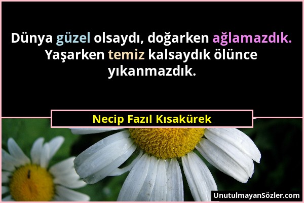 Necip Fazıl Kısakürek - Dünya güzel olsaydı, doğarken ağlamazdık. Yaşarken temiz kalsaydık ölünce yıkanmazdık....