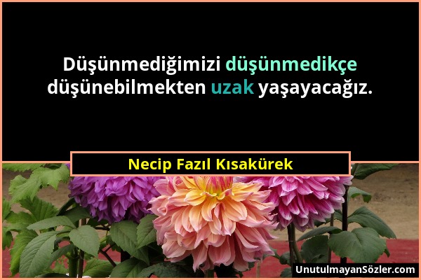 Necip Fazıl Kısakürek - Düşünmediğimizi düşünmedikçe düşünebilmekten uzak yaşayacağız....