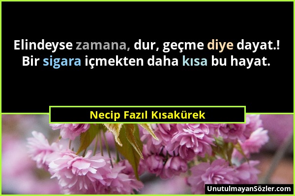 Necip Fazıl Kısakürek - Elindeyse zamana, dur, geçme diye dayat.! Bir sigara içmekten daha kısa bu hayat....