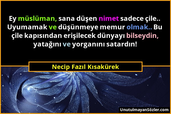 Necip Fazıl Kısakürek - Ey müslüman, sana düşen nimet sadece çile.. Uyumamak ve düşünmeye memur olmak.. Bu çile kapısından erişilecek dünyayı bilseydi...