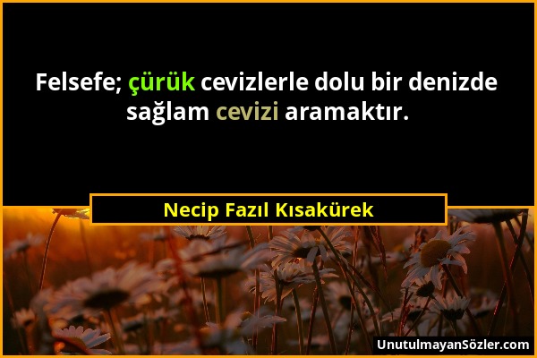 Necip Fazıl Kısakürek - Felsefe; çürük cevizlerle dolu bir denizde sağlam cevizi aramaktır....