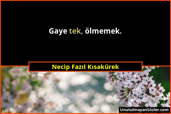 Necip Fazıl Kısakürek - Gaye tek, ölmemek....