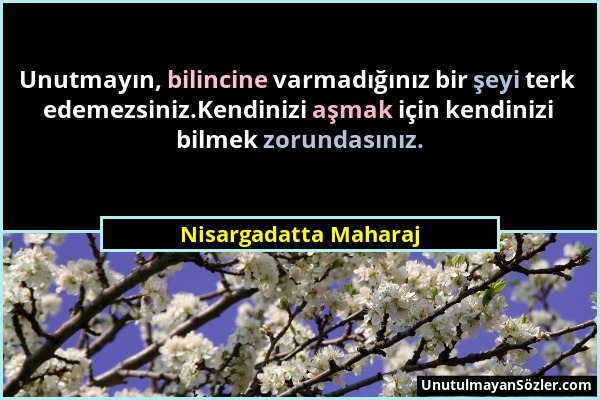 Nisargadatta Maharaj - Unutmayın, bilincine varmadığınız bir şeyi terk edemezsiniz.Kendinizi aşmak için kendinizi bilmek zorundasınız....