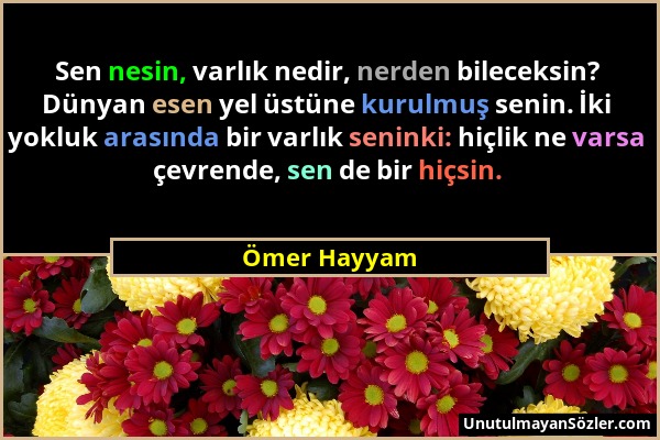 Ömer Hayyam - Sen nesin, varlık nedir, nerden bileceksin? Dünyan esen yel üstüne kurulmuş senin. İki yokluk arasında bir varlık seninki: hiçlik ne var...