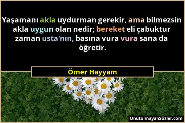 Ömer Hayyam - Yaşamanı akla uydurman gerekir, ama bilmezsin akla uygun olan nedir; bereket eli çabuktur zaman usta'nın, basına vura vura sana da öğret...