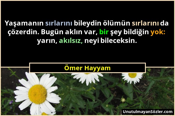 Ömer Hayyam - Yaşamanın sırlarını bileydin ölümün sırlarını da çözerdin. Bugün aklın var, bir şey bildiğin yok: yarın, akılsız, neyi bileceksin....