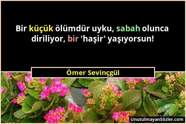 Ömer Sevinçgül - Bir küçük ölümdür uyku, sabah olunca diriliyor, bir 'haşir' yaşıyorsun!...