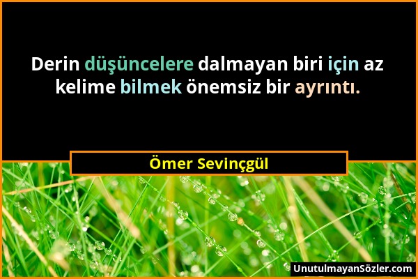 Ömer Sevinçgül - Derin düşüncelere dalmayan biri için az kelime bilmek önemsiz bir ayrıntı....