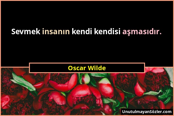 Oscar Wilde - Sevmek insanın kendi kendisi aşmasıdır....