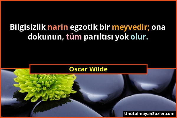 Oscar Wilde - Bilgisizlik narin egzotik bir meyvedir; ona dokunun, tüm parıltısı yok olur....