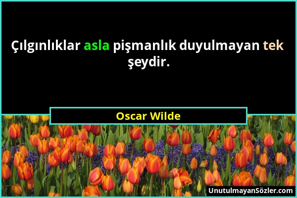 Oscar Wilde - Çılgınlıklar asla pişmanlık duyulmayan tek şeydir....