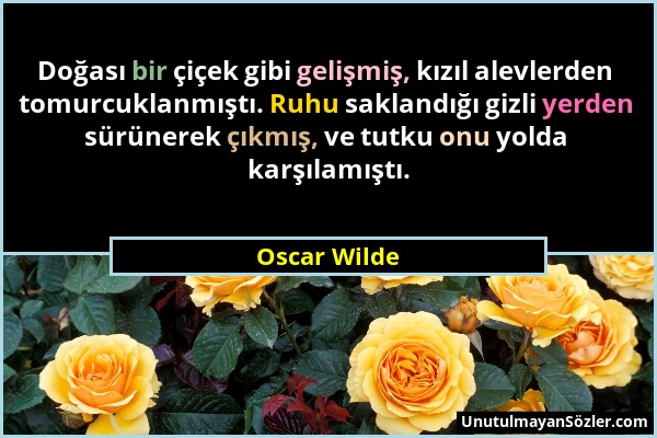 Oscar Wilde - Doğası bir çiçek gibi gelişmiş, kızıl alevlerden tomurcuklanmıştı. Ruhu saklandığı gizli yerden sürünerek çıkmış, ve tutku onu yolda kar...