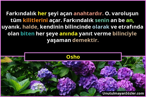 Osho - Farkındalık her şeyi açan anahtardır. O. varoluşun tüm kilitlerini açar. Farkındalık senin an be an, uyanık. halde, kendinin bilincinde olarak...