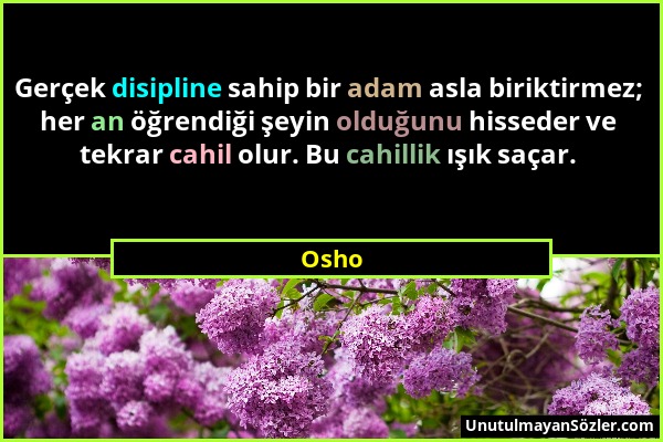 Osho - Gerçek disipline sahip bir adam asla biriktirmez; her an öğrendiği şeyin olduğunu hisseder ve tekrar cahil olur. Bu cahillik ışık saçar....