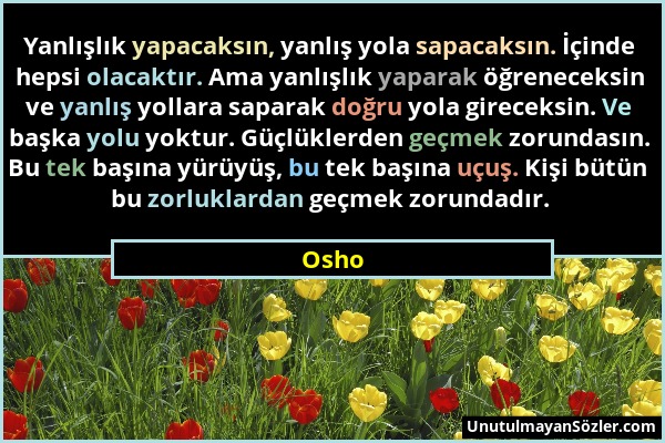 Osho - Yanlışlık yapacaksın, yanlış yola sapacaksın. İçinde hepsi olacaktır. Ama yanlışlık yaparak öğreneceksin ve yanlış yollara saparak doğru yola g...