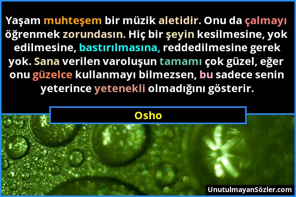 Osho - Yaşam muhteşem bir müzik aletidir. Onu da çalmayı öğrenmek zorundasın. Hiç bir şeyin kesilmesine, yok edilmesine, bastırılmasına, reddedilmesin...