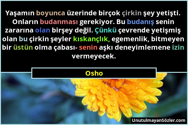 Osho - Yaşamın boyunca üzerinde birçok çirkin şey yetişti. Onların budanması gerekiyor. Bu budanış senin zararına olan birşey değil. Çünkü çevrende ye...