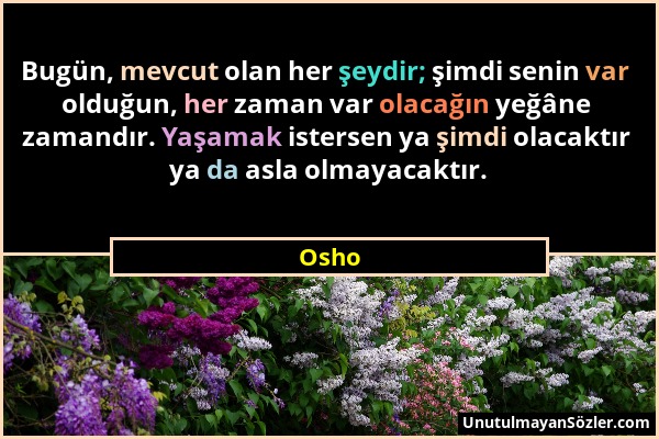 Osho - Bugün, mevcut olan her şeydir; şimdi senin var olduğun, her zaman var olacağın yeğâne zamandır. Yaşamak istersen ya şimdi olacaktır ya da asla...