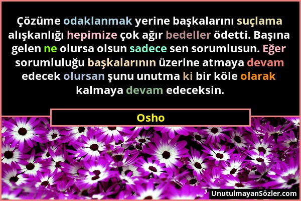 Osho - Çözüme odaklanmak yerine başkalarını suçlama alışkanlığı hepimize çok ağır bedeller ödetti. Başına gelen ne olursa olsun sadece sen sorumlusun....