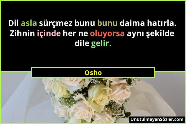 Osho - Dil asla sürçmez bunu bunu daima hatırla. Zihnin içinde her ne oluyorsa aynı şekilde dile gelir....