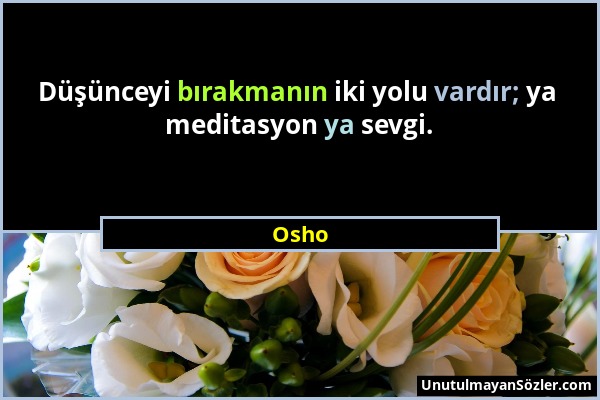 Osho - Düşünceyi bırakmanın iki yolu vardır; ya meditasyon ya sevgi....