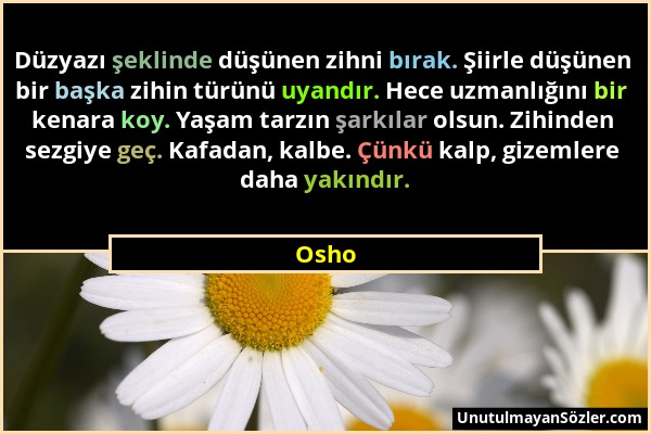 Osho - Düzyazı şeklinde düşünen zihni bırak. Şiirle düşünen bir başka zihin türünü uyandır. Hece uzmanlığını bir kenara koy. Yaşam tarzın şarkılar ols...