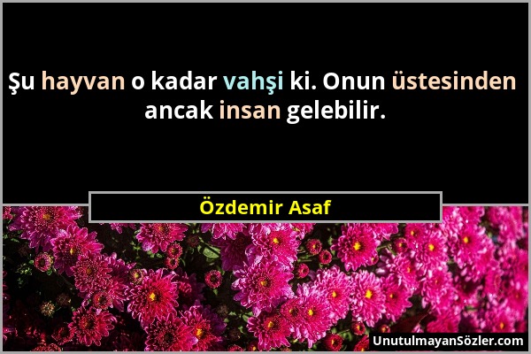 Özdemir Asaf - Şu hayvan o kadar vahşi ki. Onun üstesinden ancak insan gelebilir....