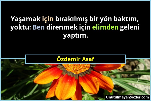 Özdemir Asaf - Yaşamak için bırakılmış bir yön baktım, yoktu: Ben direnmek için elimden geleni yaptım....