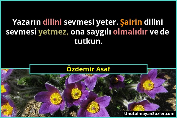 Özdemir Asaf - Yazarın dilini sevmesi yeter. Şairin dilini sevmesi yetmez, ona saygılı olmalıdır ve de tutkun....